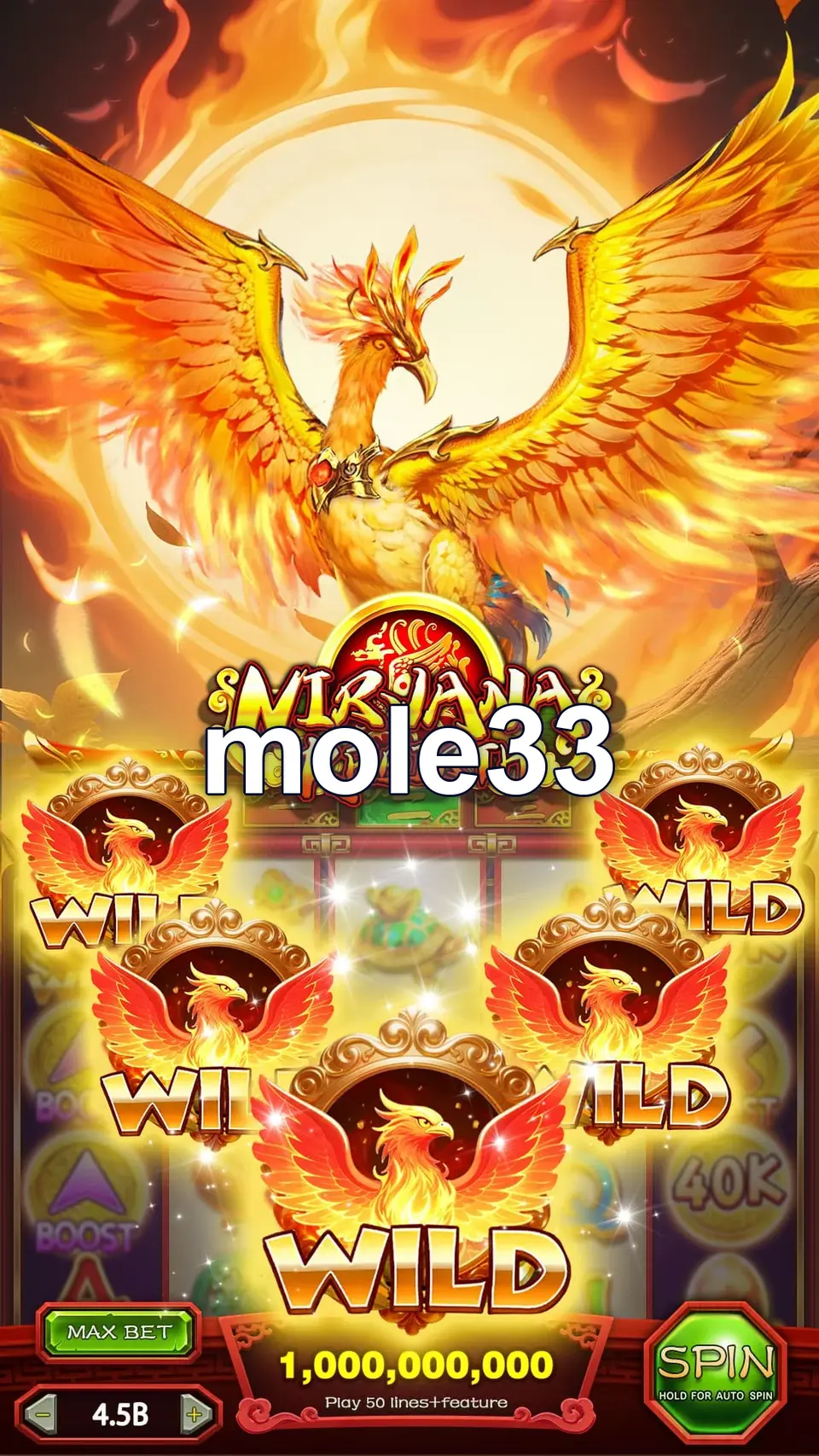 mole33 Masuk